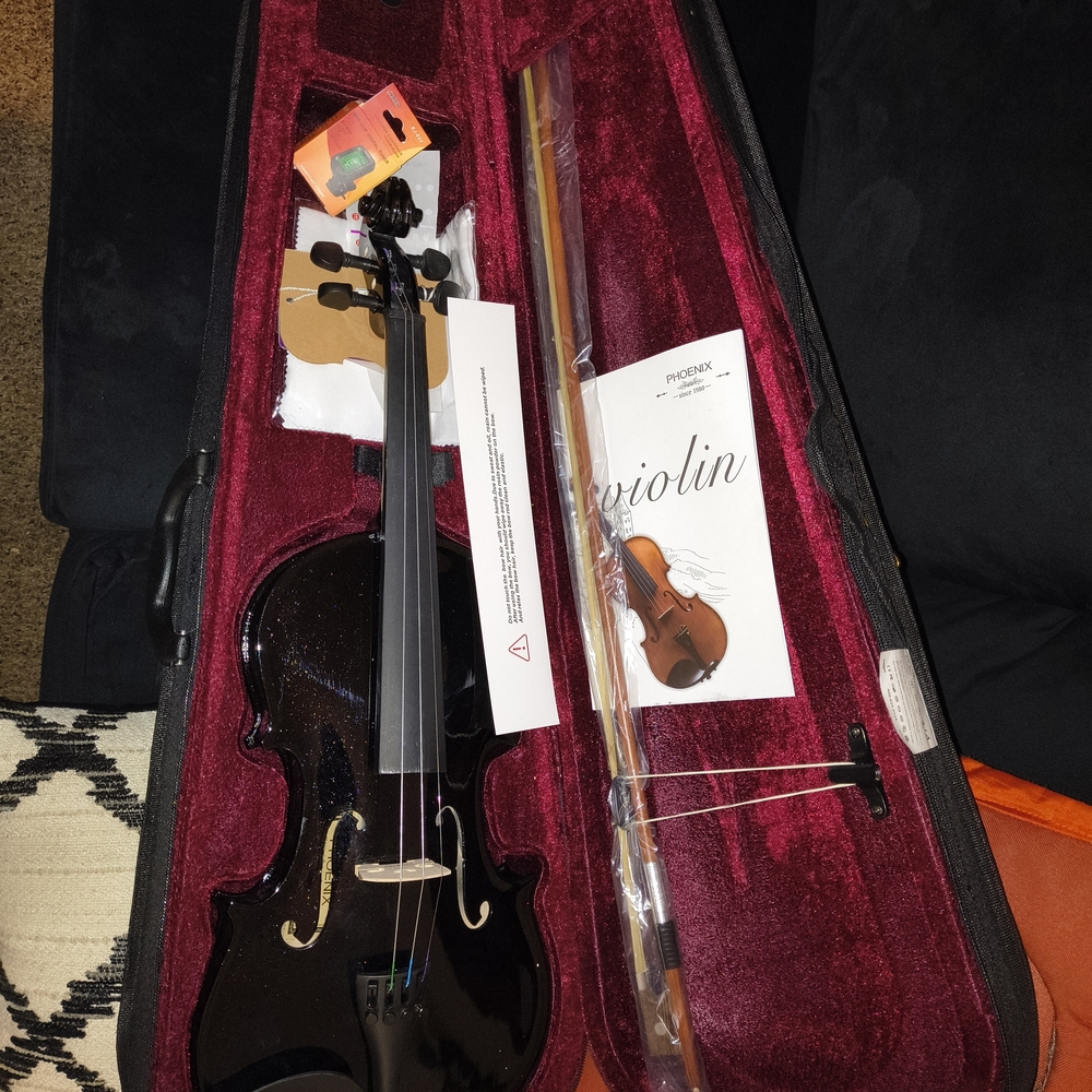 Stradivarius Phoenix Violin Box